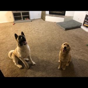 Meet your Posher, Jayme